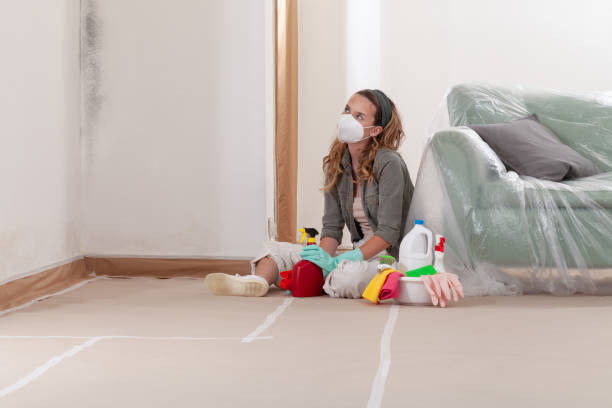 Reliable Commercial Mold Remediation contractor in Park Hall, MD by WQB Mold Removal